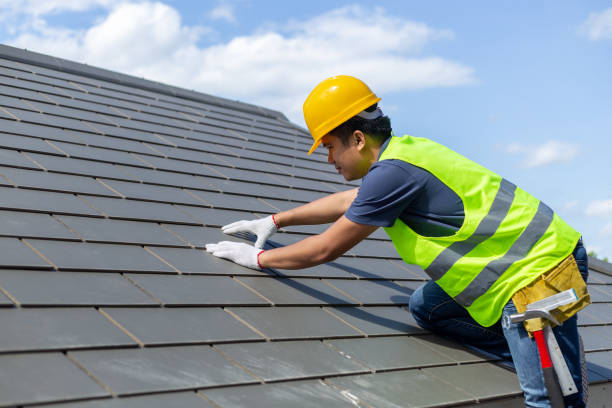 Best Roof Gutter Cleaning  in Elkins, WV