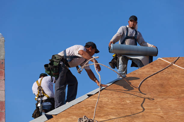 Best Emergency Roof Repair  in Elkins, WV